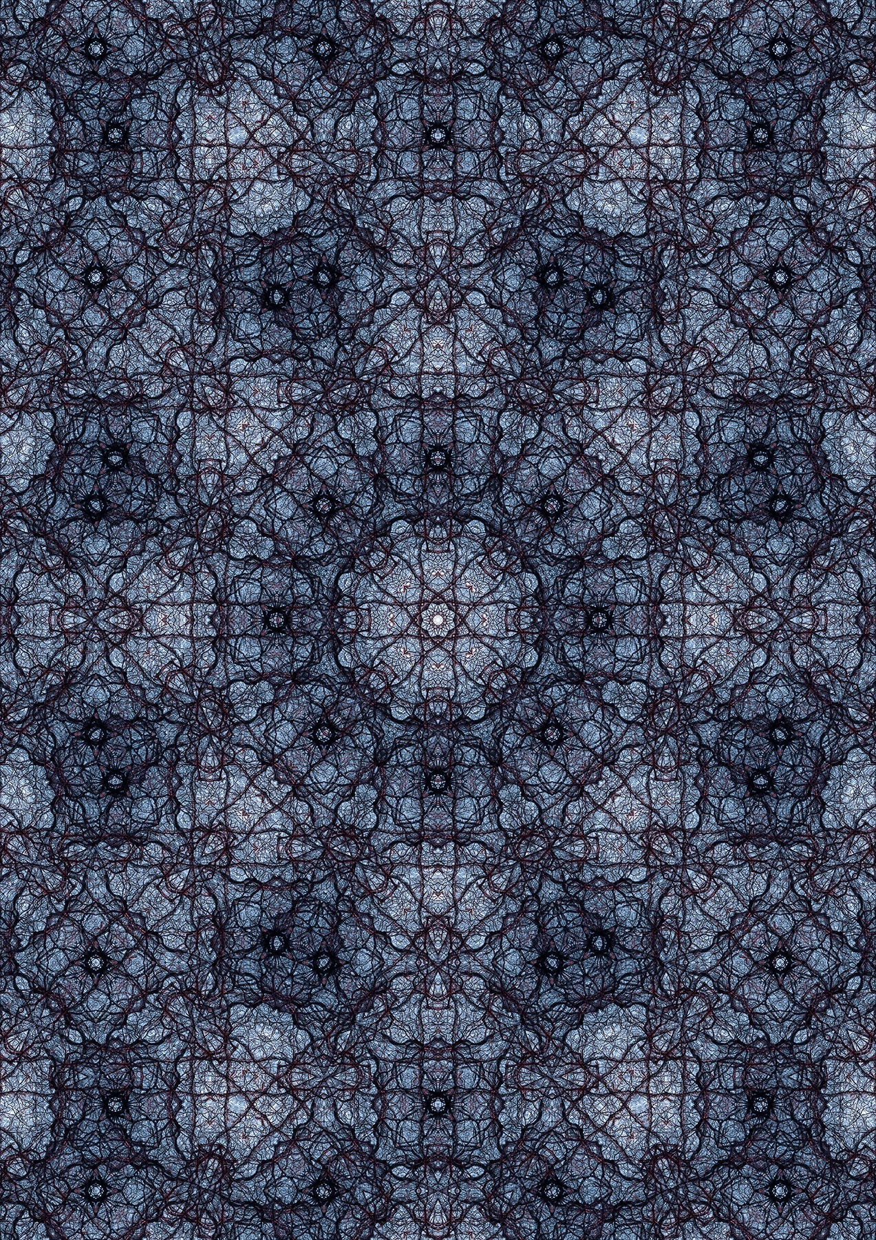 Digital Photographic Art