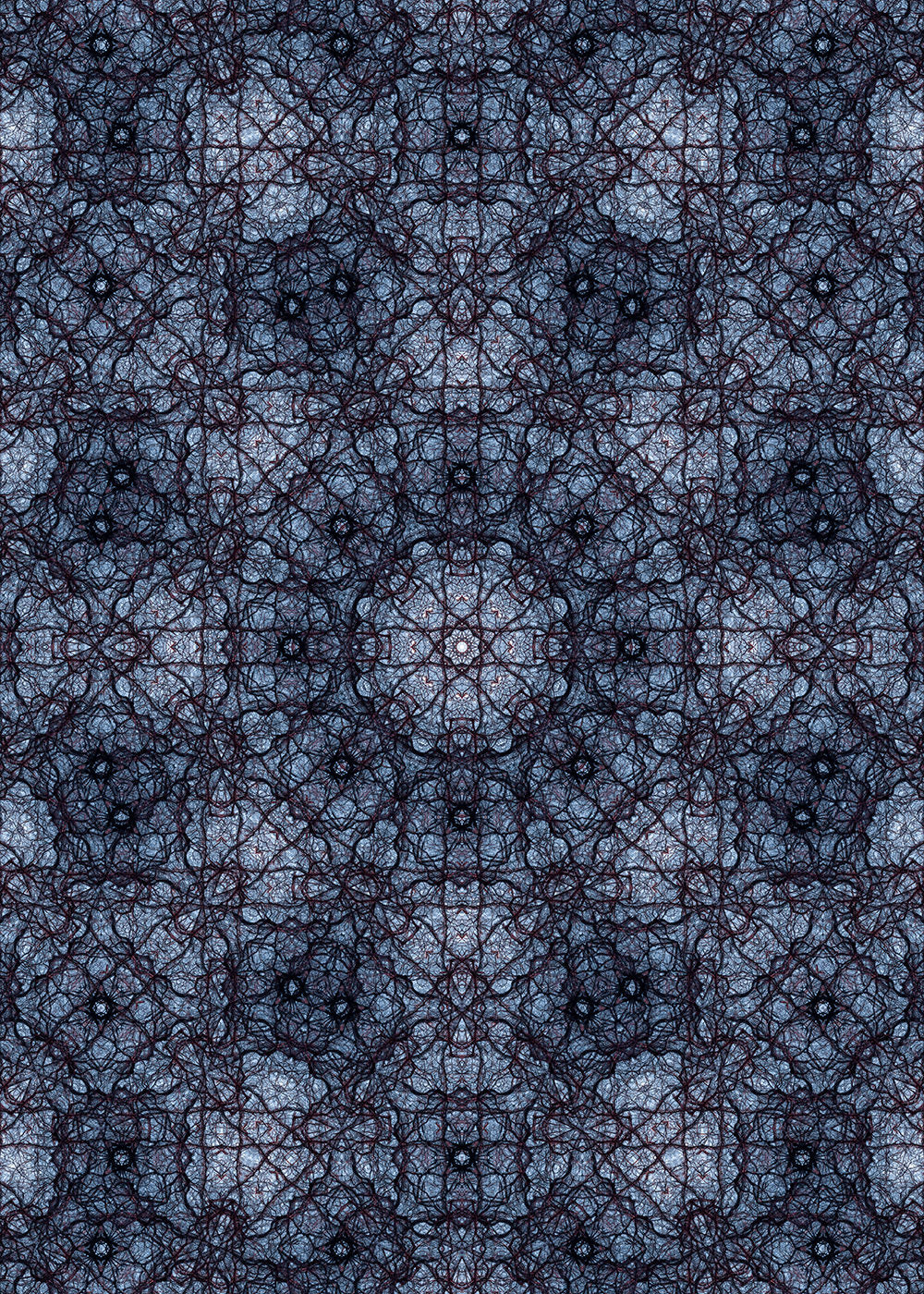 Argent Arabesque