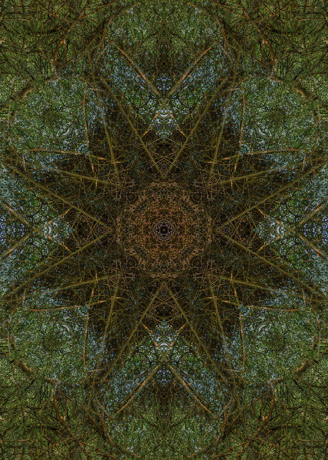 Branches in Network