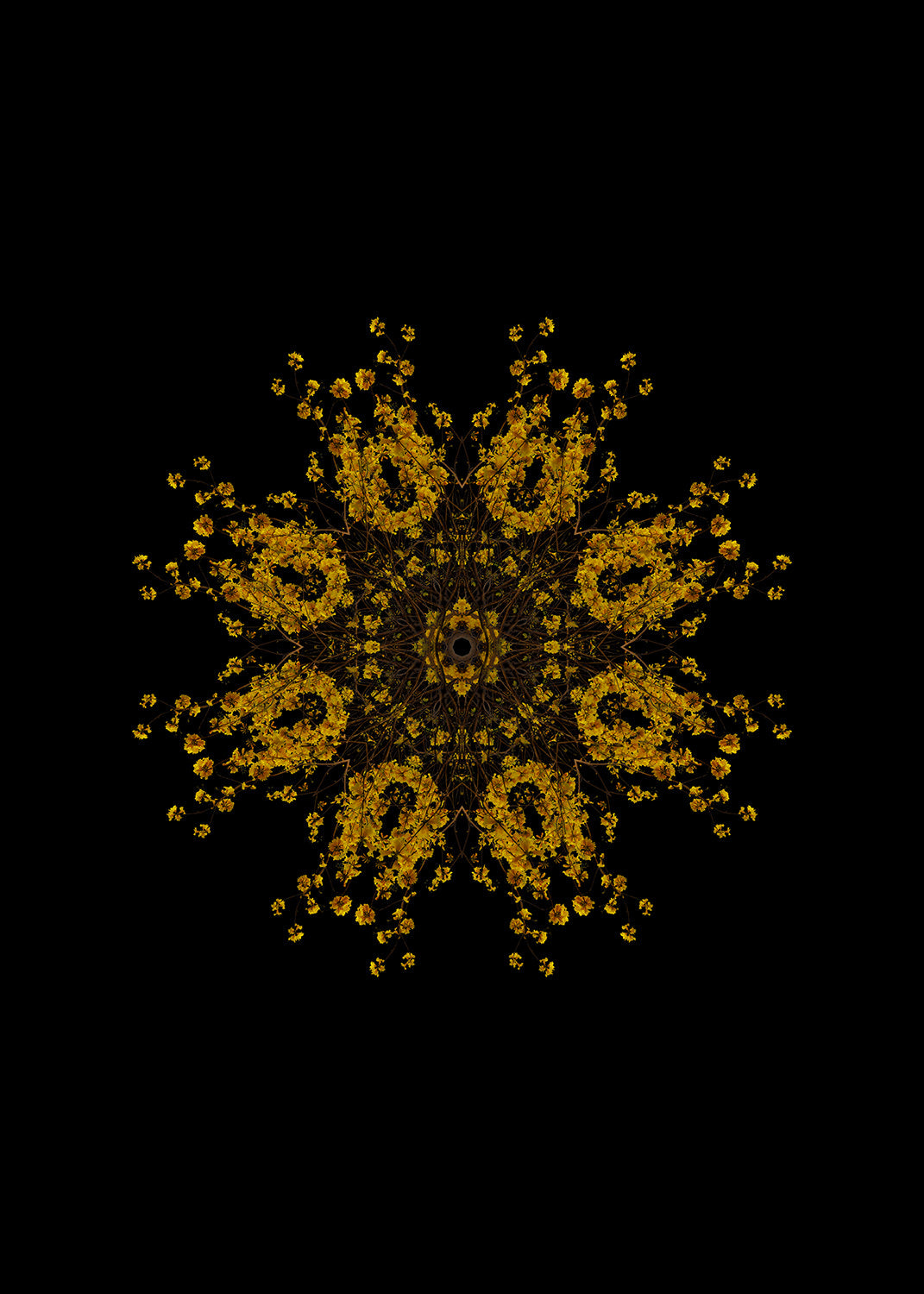 The Golden Bloom