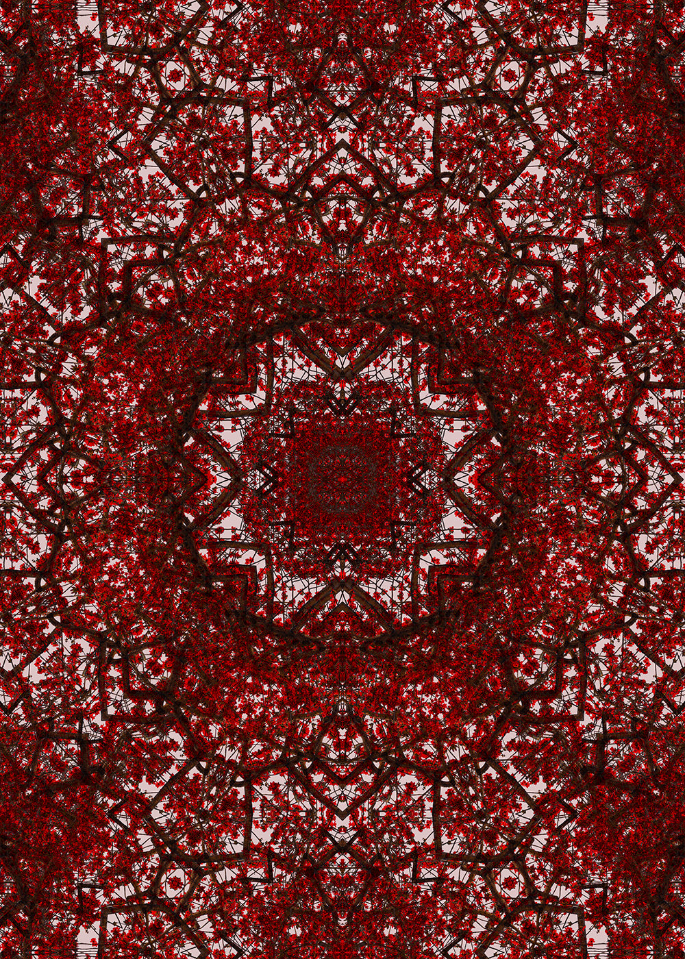 Ruby Branches