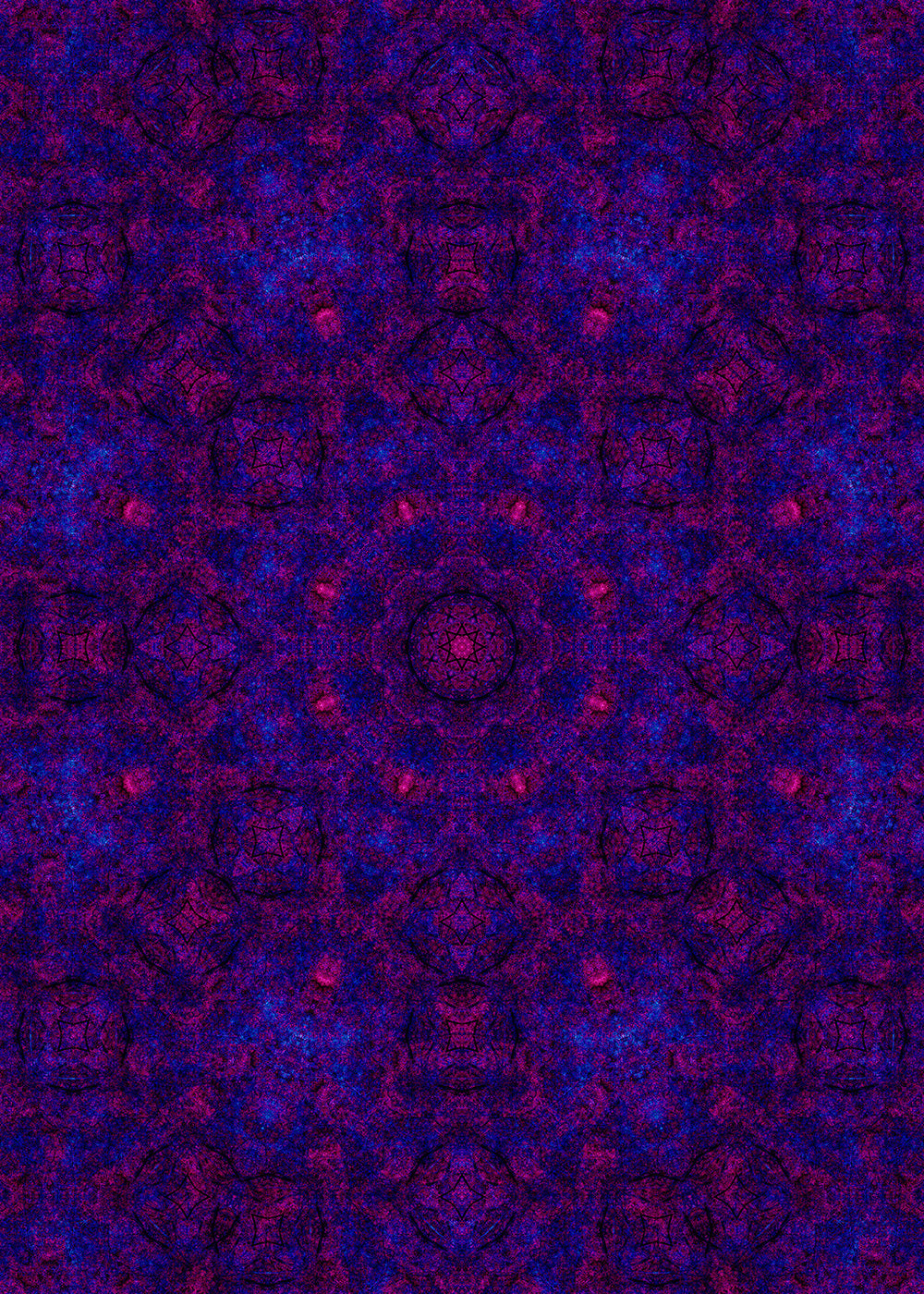 Branches in Violet