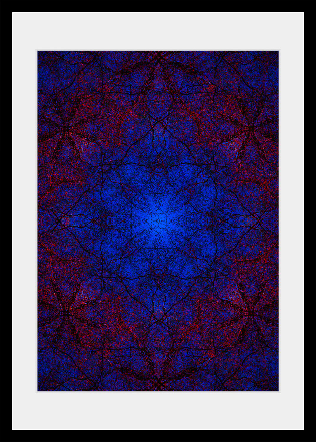 when the branches whisper